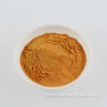 Tomato Powder Dehydrated Vegetables Spice Powder